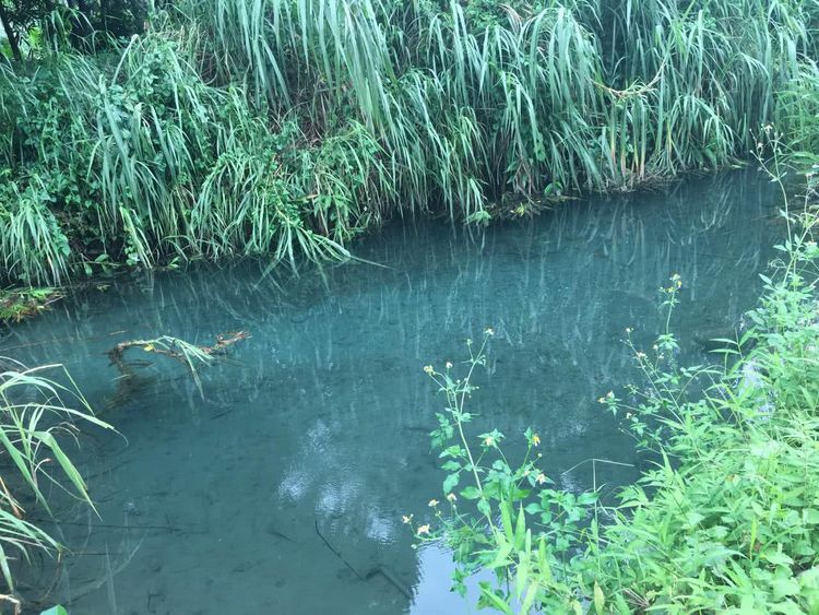 拉索埃湧泉生態園區 - 藍色眼淚
